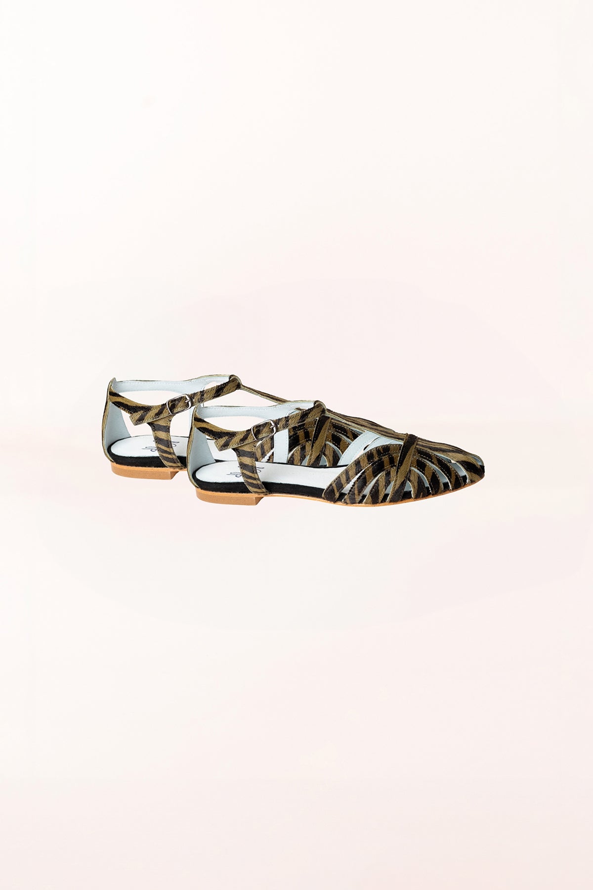 Cangrejera Manet Caza